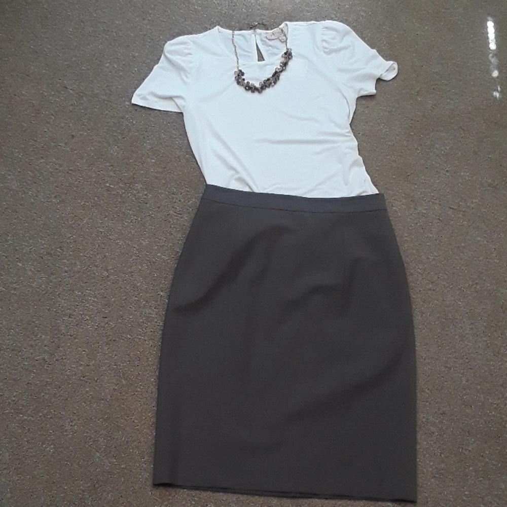 Ann Taylor skirt
